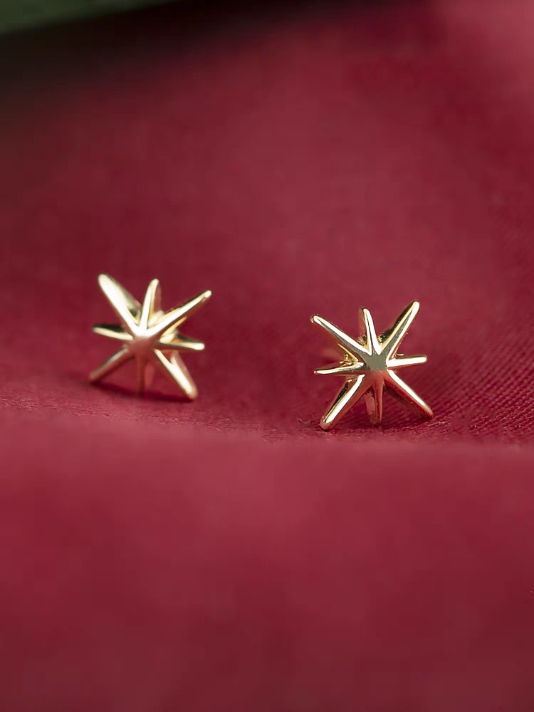 14k Solid Gold Starry Studs