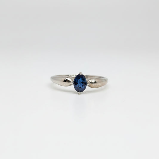 A silver ring with an oval-cut dark blue gemstone, photographed on a clean white surface with a soft-focus light blue flower in the background.