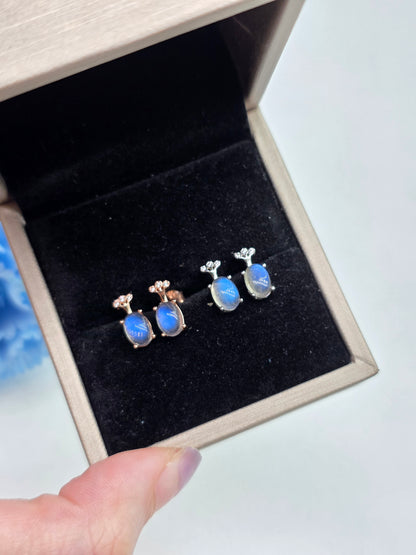 Tree Of Life Labradorite Ear Studs in S925 Sterling Silver