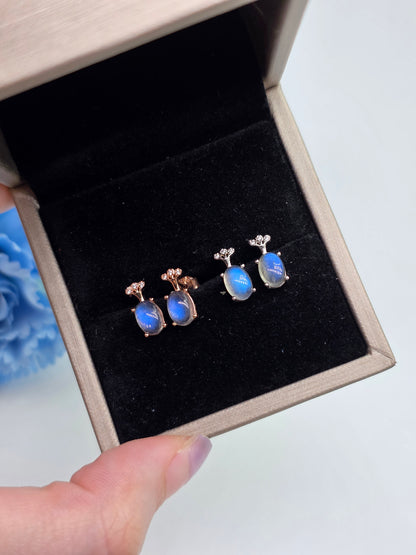 Tree Of Life Labradorite Ear Studs in S925 Sterling Silver