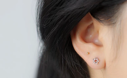 Star Screwback Studs